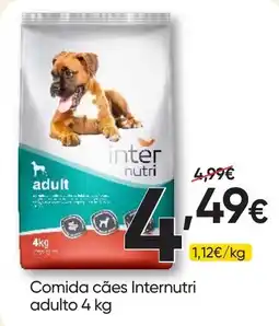 Froiz Comida cães Internutri adulto promoção