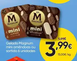 Froiz Gelado magnum mini amêndoas ou sortido 6 unidades promoção