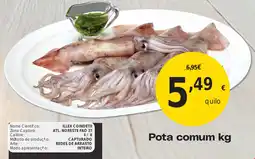 Froiz Pota comum kg promoção
