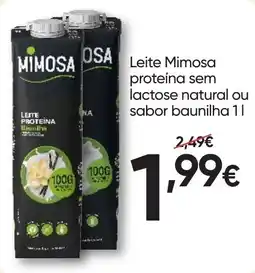 Froiz Leite mimosa proteína promoção