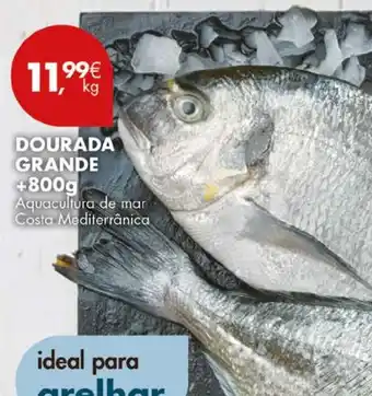Pingo Doce dourada grande promoção