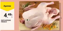 Continente Pato inteiro fresco promoção
