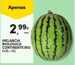 Continente Melancia biologica continente bio promoção
