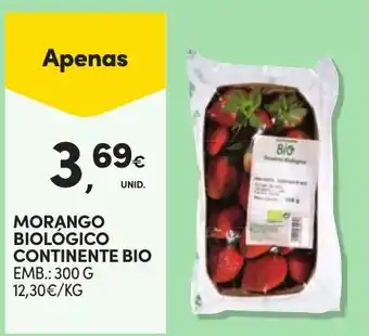 Continente Morango biológico continente bio promoção