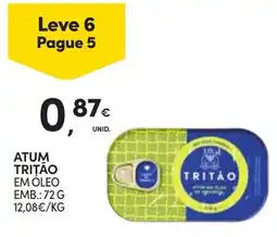 Continente atum tritão em óleo promoção