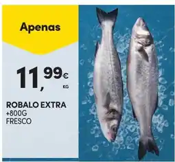 Continente Robalo extra promoção