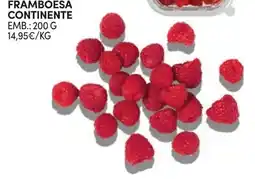 Continente Framboesa continente promoção