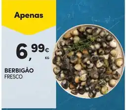 Continente berbigão fresco promoção