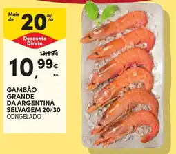 Continente Gambão grande da argentina selvagem 20/30 promoção