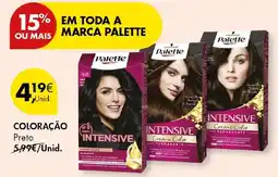 Pingo Doce Palette coloração preto promoção