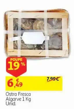 Auchan Ostra Fresca Algarve promoção