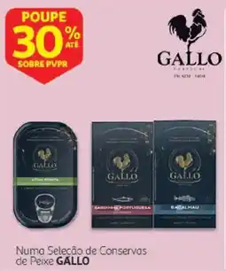 Auchan Numa Seleção de Conservas de Peixe Gallo promoção