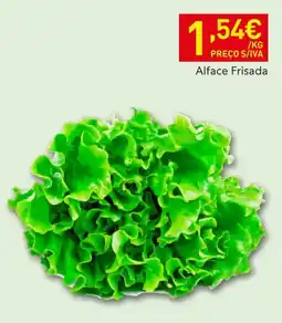 Recheio Alface Frisada promoção