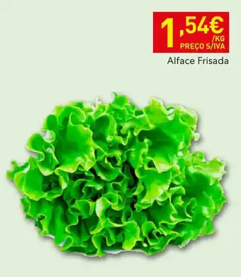 Alface Frisada