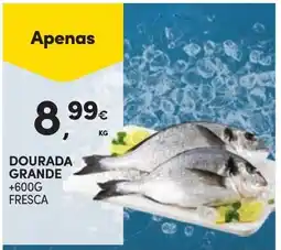 Continente Bom dia dourada grande promoção