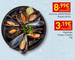 Recheio Mexilhão Inteiro Cozido promoção