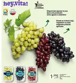 Recheio Bio - linea creation promoção