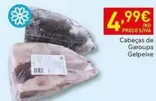 Recheio Gelpeixe - cabeças de garoupa promoção
