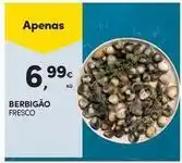 Continente Bom dia Apenas promoção