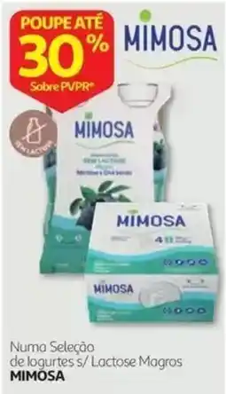 Auchan Mimosa promoção