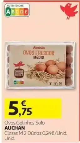 Auchan ovos galinhas solo auchan promoção
