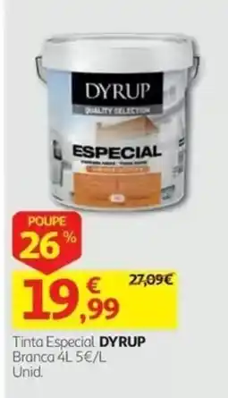 Auchan Tinta especial dyrup promoção