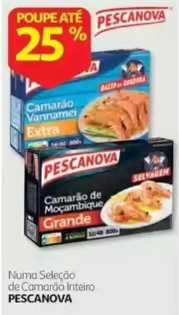 Auchan Pescanova camarão de moçambique grande promoção