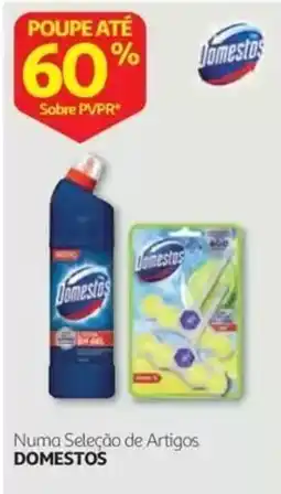 Auchan Domestos promoção