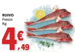 E.Leclerc Ruivo fresco promoção