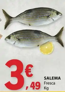 E.Leclerc Salema Fresca promoção