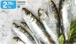 Intermarché Sardinha congelada promoção