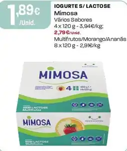 Intermarché Iogurte s/ lactose mimosa promoção