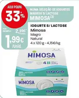 Intermarché Iogurte s/lactose mimosa promoção