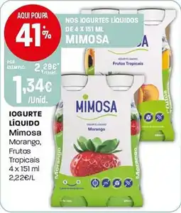 Intermarché Iogurte líquido mimosa promoção