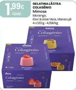 Intermarché Gelatina lactea colagênio mimosa promoção