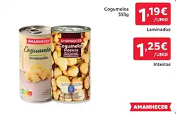 Amanhecer Cogumelos laminados promoção