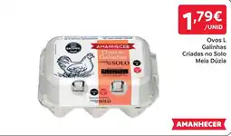 Amanhecer Ovos de galinhas amanhecer promoção