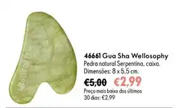 Oriflame gua sha wellosophy promoção