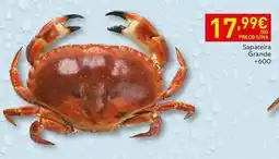 Recheio Sapateira grande promoção