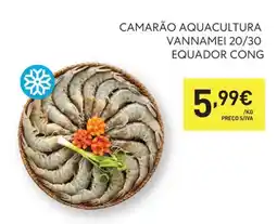 Recheio Camarão aquacultura vannamei 20/30 equador cong promoção