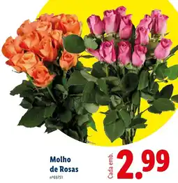Lidl Molho de Rosas promoção
