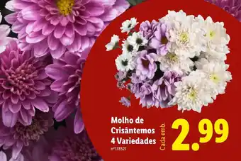 Lidl Molho de Crisântemos 4 Variedades promoção