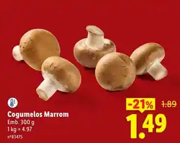 Lidl Cogumelos Marrom promoção