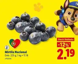 Lidl Nacional - mirtilo promoção