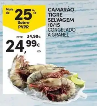 Camarão tigre selvagem