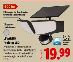 Lidl LIVARNO Projetor LED promoção