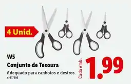 Lidl W5 Conjunto de Tesoura promoção