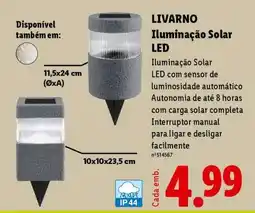 Lidl LIVARNO Iluminação Solar LED promoção