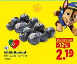 Lidl Mirtilo Nacional promoção