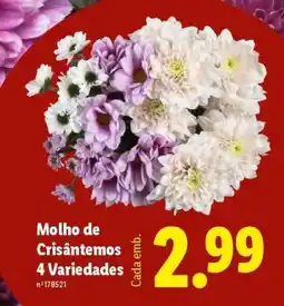 Lidl Molho de Crisântemos promoção